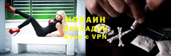ECSTASY Новозыбков