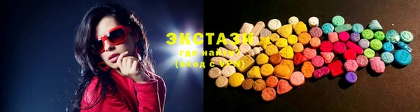 ECSTASY Новозыбков